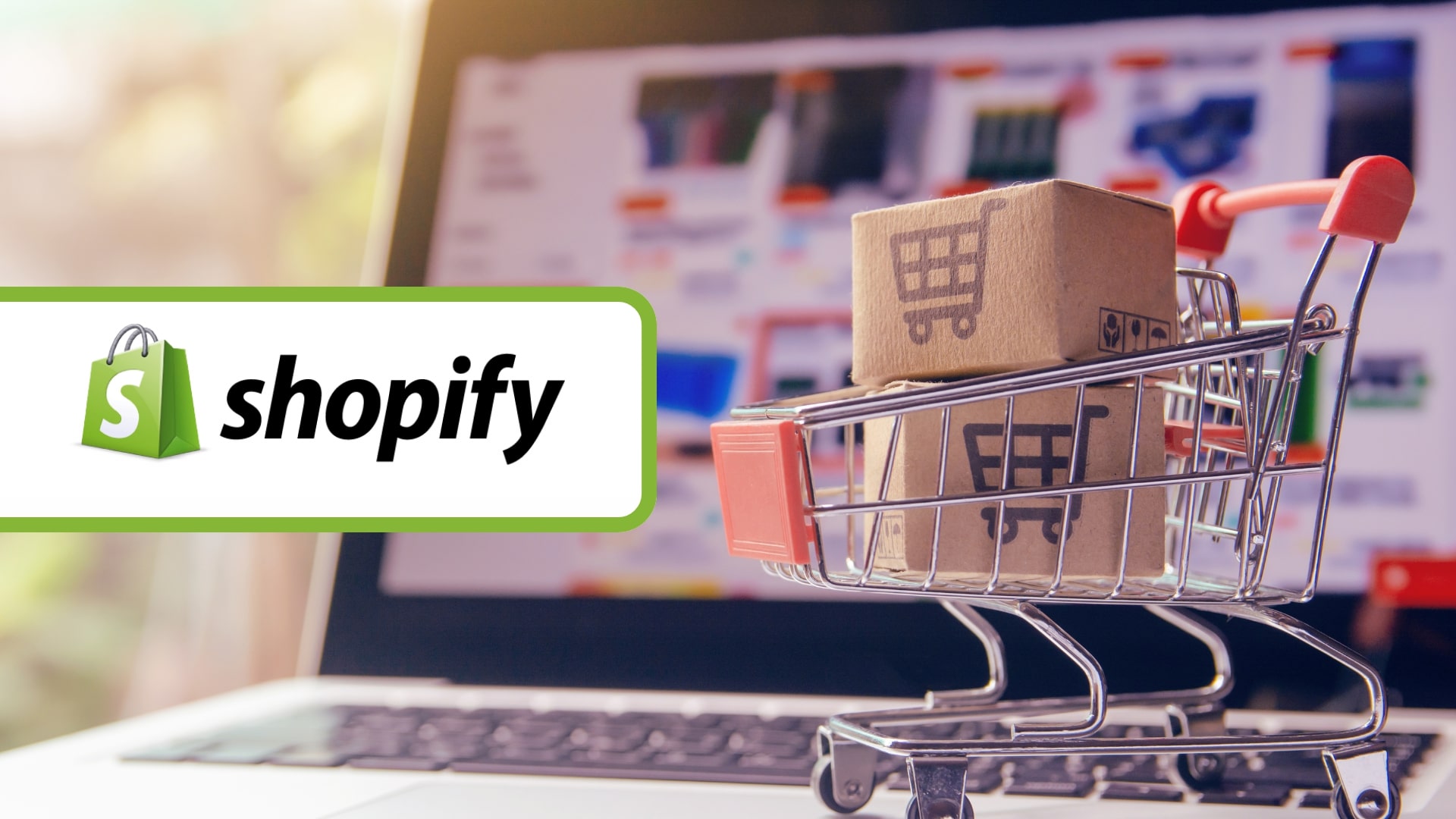 Who Uses Shopify?